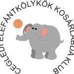 cekk logo