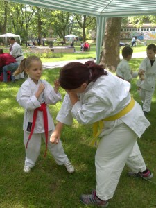 Sagaku karate